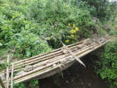 The "bridge" crossing into the jungle.